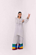 Load image into Gallery viewer, Silver