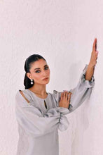 Load image into Gallery viewer, Silver